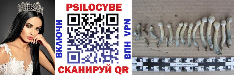 Купить  Опочка  Псилоцибиновые грибы ЛСД 
